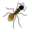 Ant.png