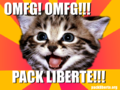 OMFG kitten packliberte.png